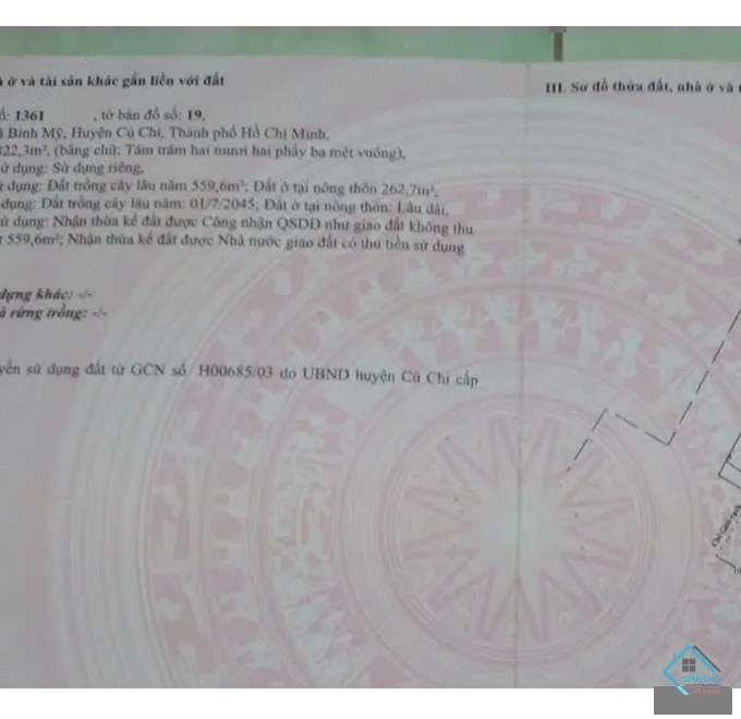 Bán nhà vườn Xã Bình Mỹ – ảnh 3/12