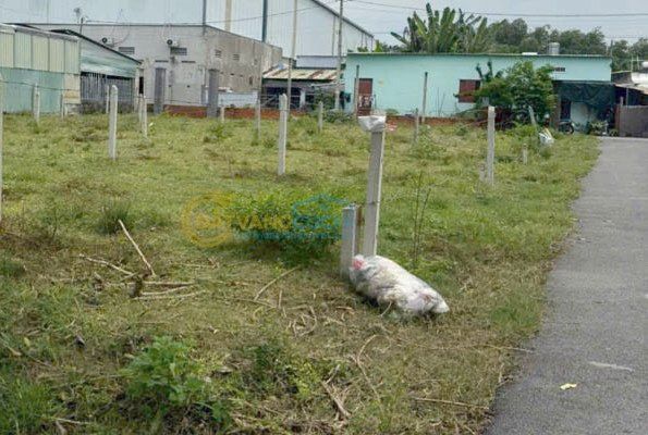 Bán đất thổ cư Xã Tân An Hội – ảnh 1/4