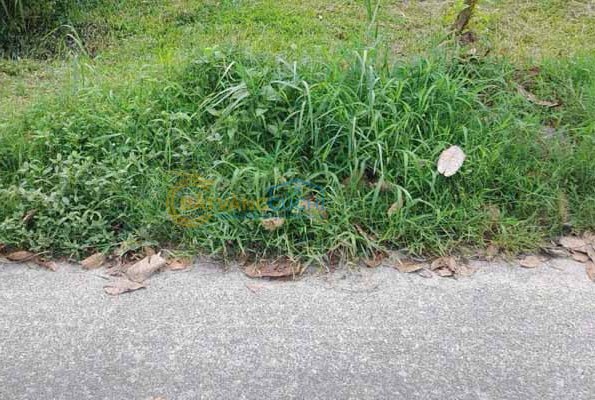 Bán nhà vườn Xã Nhuận Đức – ảnh 2/4