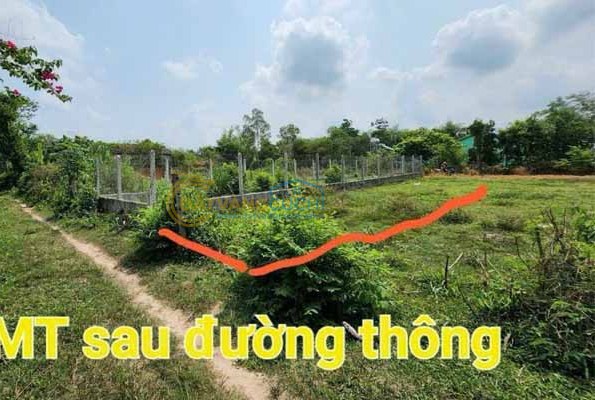 Bán nhà mặt tiền Xã Thái Mỹ – ảnh 4/5