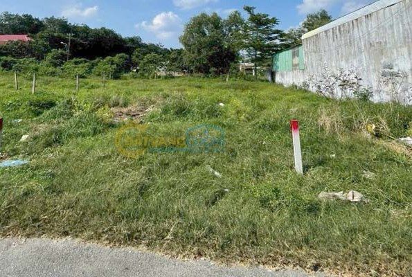 Bán đất thổ cư Xã Phú Hòa Đông – ảnh 5/5