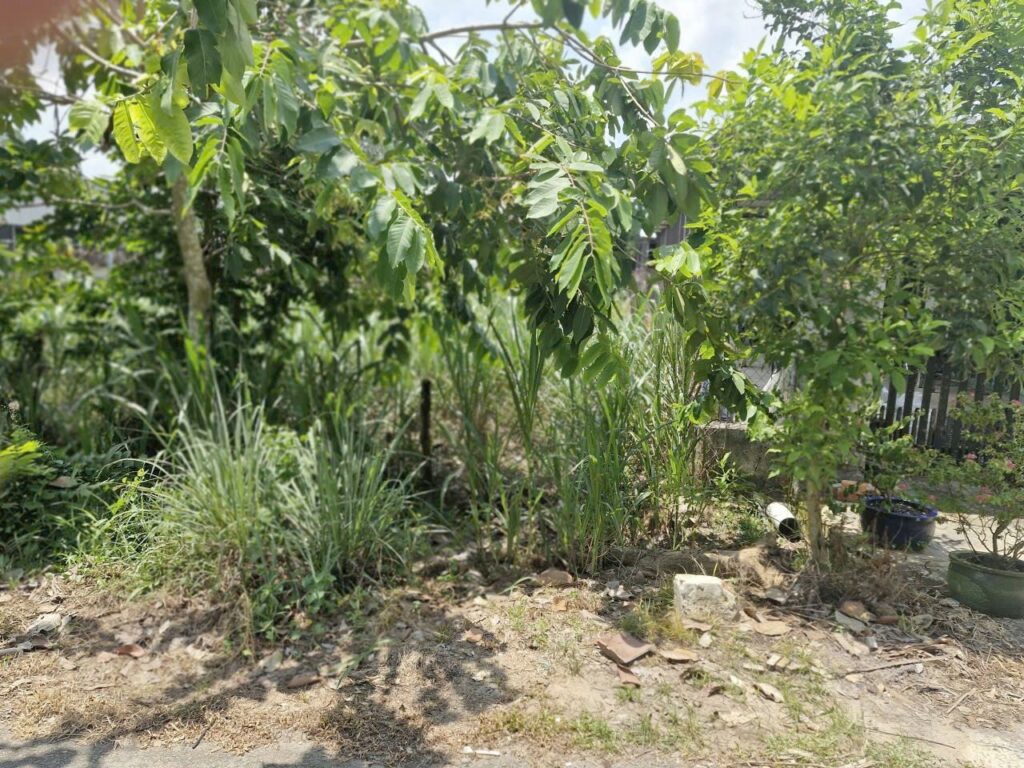 Bán đất thổ cư Xã Thái Mỹ – ảnh 3/4