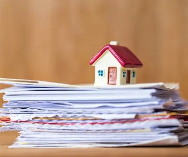 Bán đất thổ cư Xã Phú Hòa Đông – ảnh 11/12