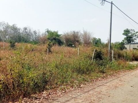 Bán đất thổ cư xã Phú Mỹ Hưng, Củ Chi 1198m2 15×78