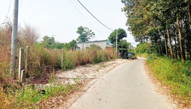 Bán đất thổ cư Xã An Nhơn Tây – ảnh 4/6