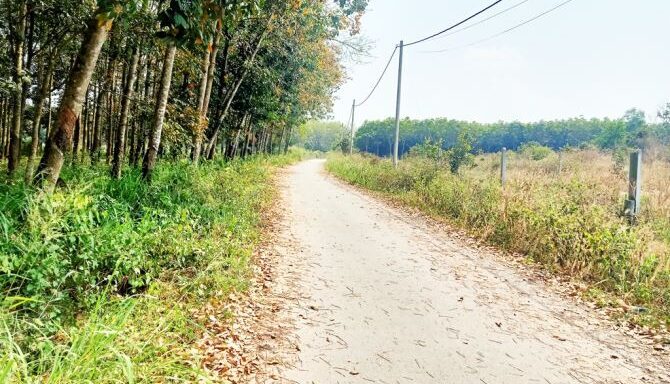 Bán đất thổ cư Xã An Nhơn Tây – ảnh 5/6