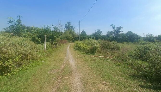 Bán đất thổ cư Xã Thái Mỹ – ảnh 4/6