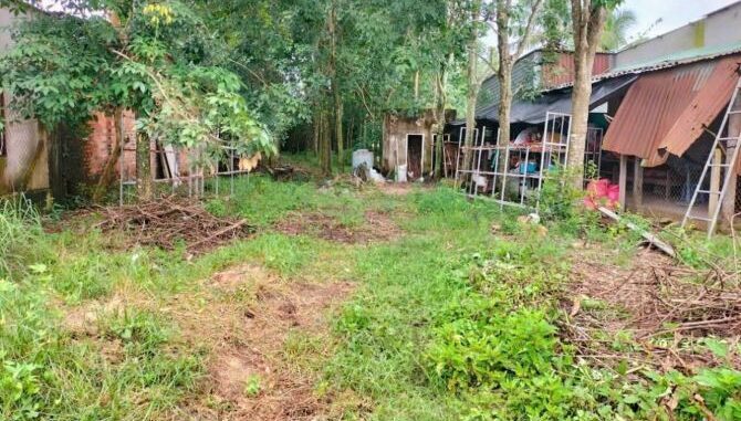 Bán đất thổ cư Xã An Nhơn Tây – ảnh 2/4