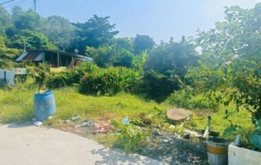 Bán đất thổ cư Tân An Hội, Củ Chi 956m2 đường 354 giá 3,5 tỷ