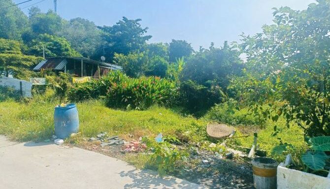 Bán đất thổ cư Xã Tân An Hội – ảnh 1/3