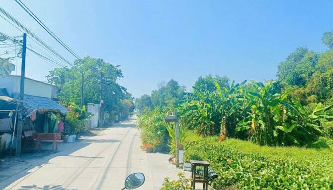 Bán đất thổ cư Xã Tân An Hội – ảnh 2/3