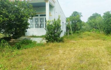 Bán nhà vườn xã Phước Hiệp, Củ Chi 977m2, 15×66, 200m2 thổ cư