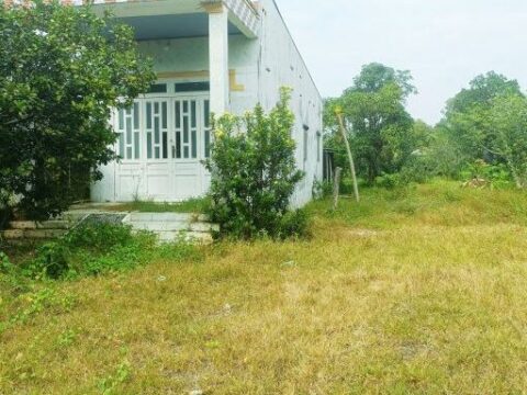 Bán nhà vườn xã Phước Hiệp, Củ Chi 977m2, 15×66, 200m2 thổ cư