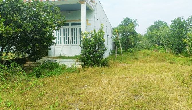 Bán nhà riêng Xã Tân An Hội – ảnh 1/4