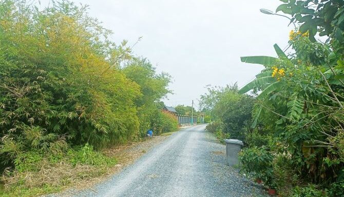 Bán nhà riêng Xã Tân An Hội – ảnh 3/4