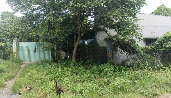 Bán nhà riêng Xã Bình Mỹ – ảnh 2/6