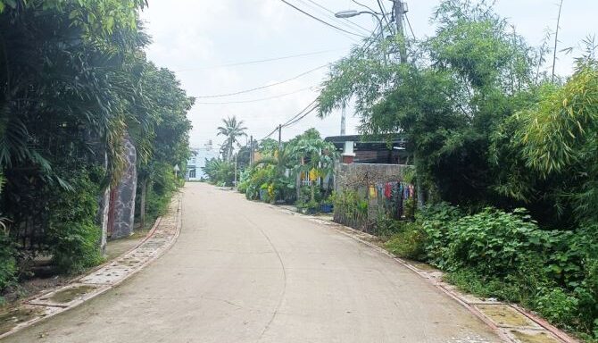 Bán nhà riêng Xã Bình Mỹ – ảnh 3/6