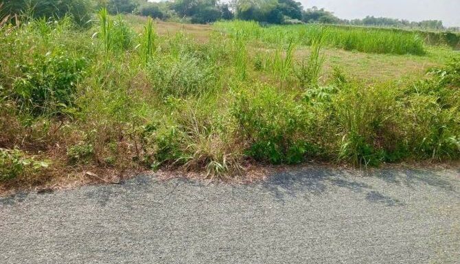 Bán đất thổ cư Xã Thái Mỹ – ảnh 1/5