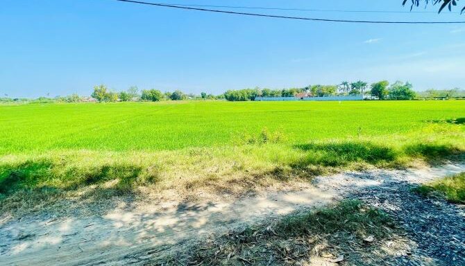 Bán đất nông nghiệp, đất vườn Xã An Nhơn Tây – ảnh 1/5