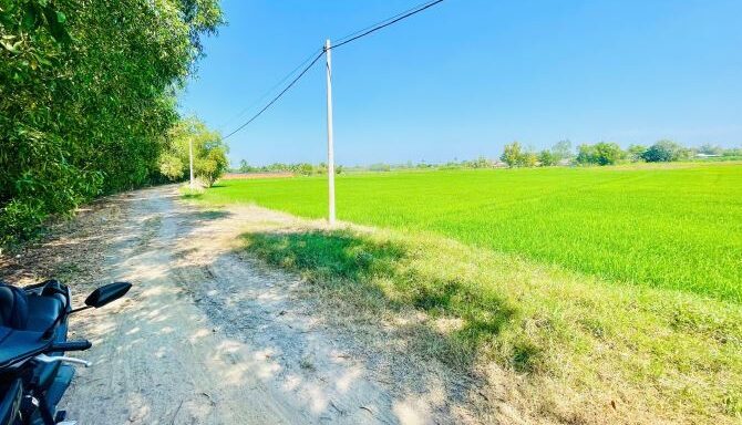 Bán đất nông nghiệp, đất vườn Xã An Nhơn Tây – ảnh 2/5