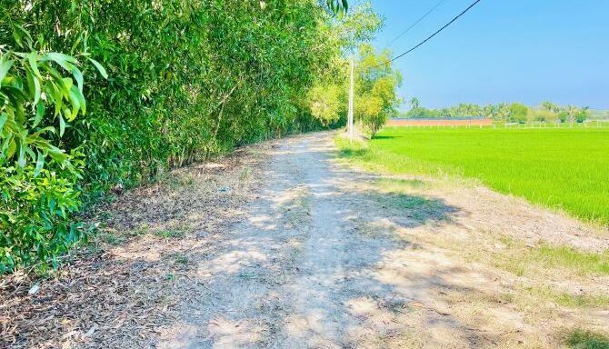 Bán đất nông nghiệp, đất vườn Xã An Nhơn Tây – ảnh 3/5