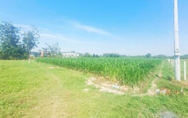 Bán đất nông nghiệp 7514m2 xã Trung Lập Thượng, Củ Chi