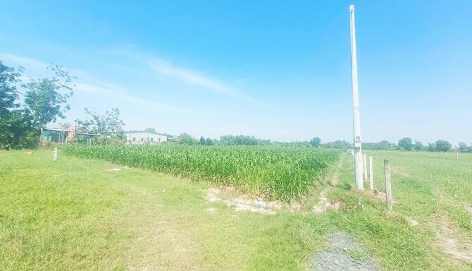 Bán đất nông nghiệp, đất vườn Xã Thái Mỹ – ảnh 4/6