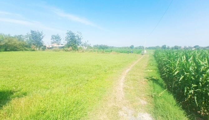 Bán đất nông nghiệp, đất vườn Xã Thái Mỹ – ảnh 6/6