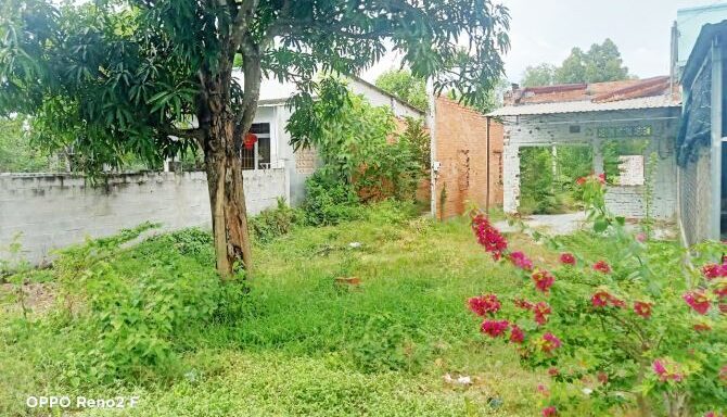 Bán đất thổ cư Xã Thái Mỹ – ảnh 1/6