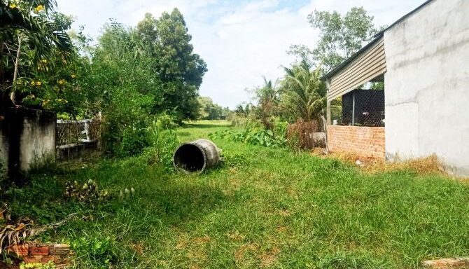 Bán đất thổ cư Xã Thái Mỹ – ảnh 2/6