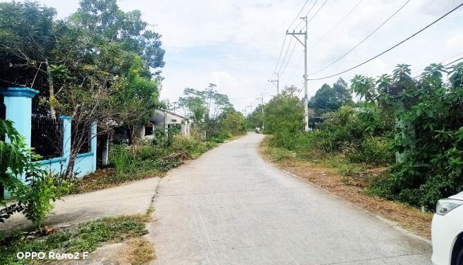 Bán đất thổ cư Xã Thái Mỹ – ảnh 5/6