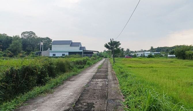 Bán đất thổ cư Xã Thái Mỹ – ảnh 2/6