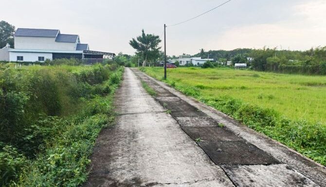 Bán đất thổ cư Xã Thái Mỹ – ảnh 3/6