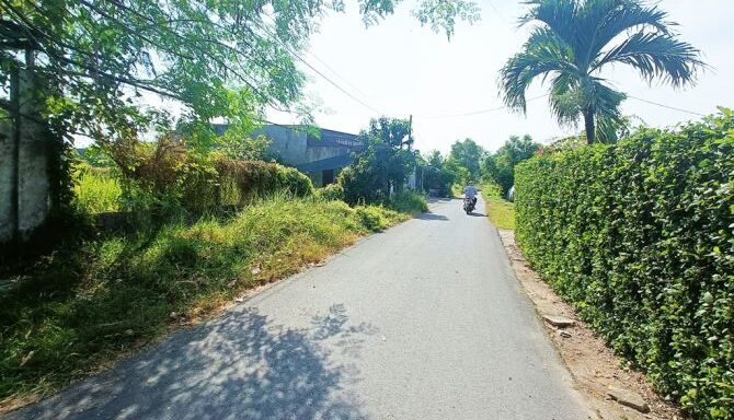 Bán bất động sản khác Xã Củ Chi – ảnh 5/6