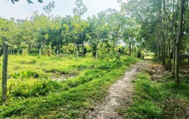 Bán đất nông nghiệp 1001m2 xã An Nhơn Tây, Củ Chi