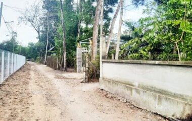 Bán đất thổ cư xã Phú Hòa Đông Củ Chi 1179m2 hẻm 42