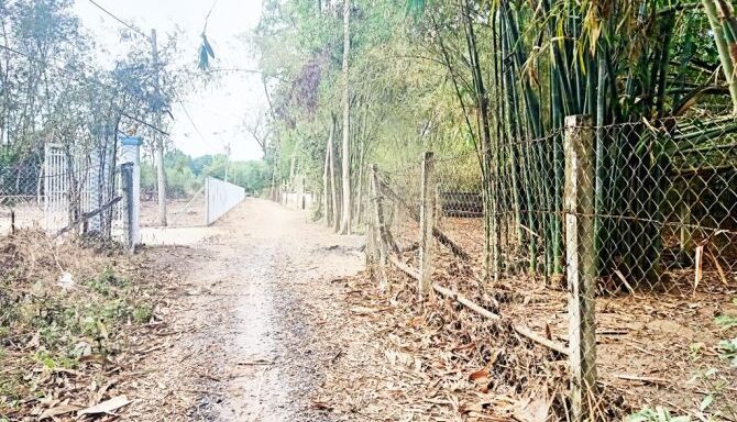 Bán đất thổ cư Xã Phú Hòa Đông – ảnh 3/6