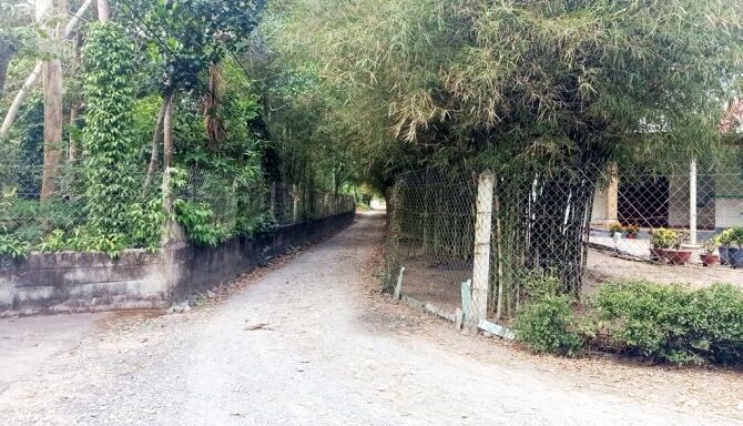 Bán đất thổ cư Xã Phú Hòa Đông – ảnh 5/6
