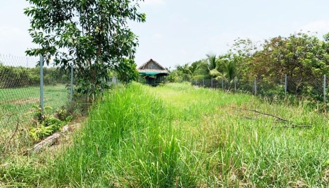 Bán nhà mặt tiền Xã Bình Mỹ – ảnh 3/6