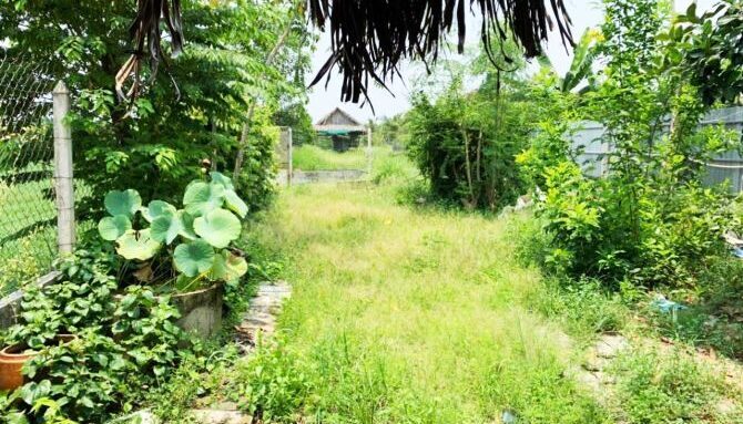 Bán nhà mặt tiền Xã Bình Mỹ – ảnh 5/6
