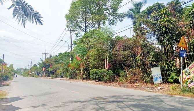 Bán đất thổ cư Xã Bình Mỹ – ảnh 2/5