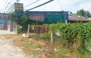Bán đất thổ cư 937m2 đường Tỉnh Lộ 8, xã Bình Mỹ, Củ Chi