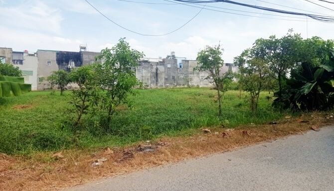 Bán đất thổ cư Xã Bình Mỹ – ảnh 3/6