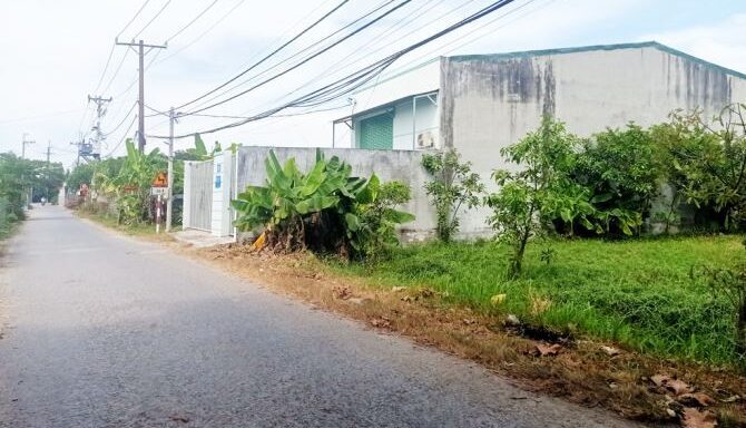 Bán đất thổ cư Xã Bình Mỹ – ảnh 5/6