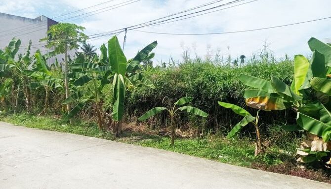 Bán đất thổ cư Xã Bình Mỹ – ảnh 1/6