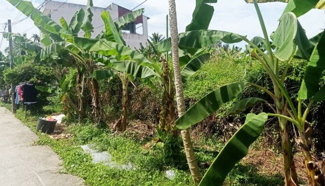 Bán đất thổ cư Xã Bình Mỹ – ảnh 3/6