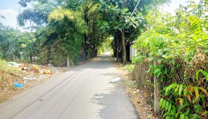 Bán đất thổ cư Xã Bình Mỹ – ảnh 3/5