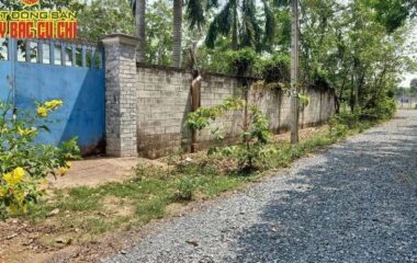 Bán nhà xưởng 1/ Đỗ Đăng Tuyển, An Nhơn Tây, Củ Chi 1912m2