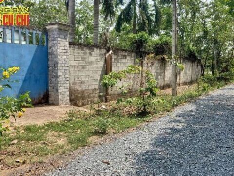 Bán nhà xưởng 1/ Đỗ Đăng Tuyển, An Nhơn Tây, Củ Chi 1912m2