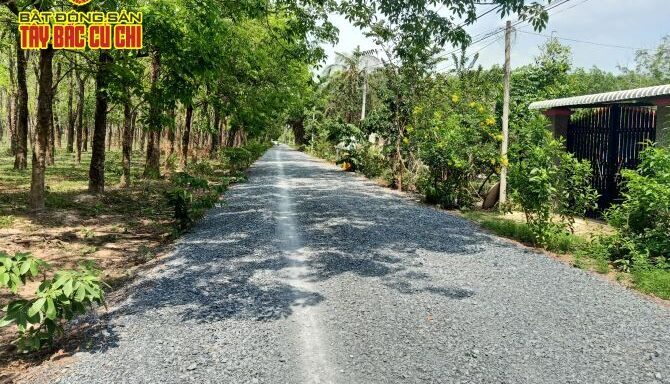 Bán kho, nhà xưởng Xã An Nhơn Tây – ảnh 4/6